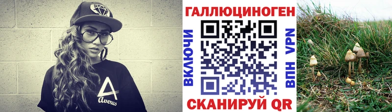 Купить где  Ипатово  Псилоцибиновые грибы MAGIC MUSHROOMS 